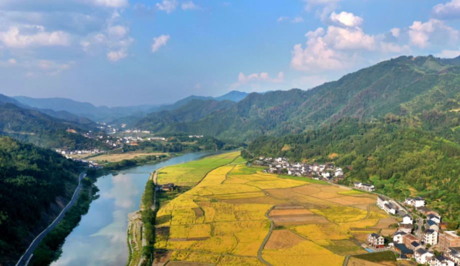 微信圖片_20220531172538.png 微信圖片_20220531172538.png